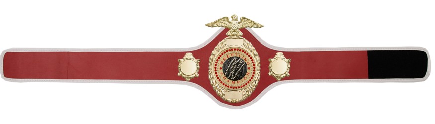 PRO288/G/WRESTGEMG - AVAILABLE IN 10 COLOURS PRO288/G/WRESTGEMG - AVAILABLE IN 10 COLOURS